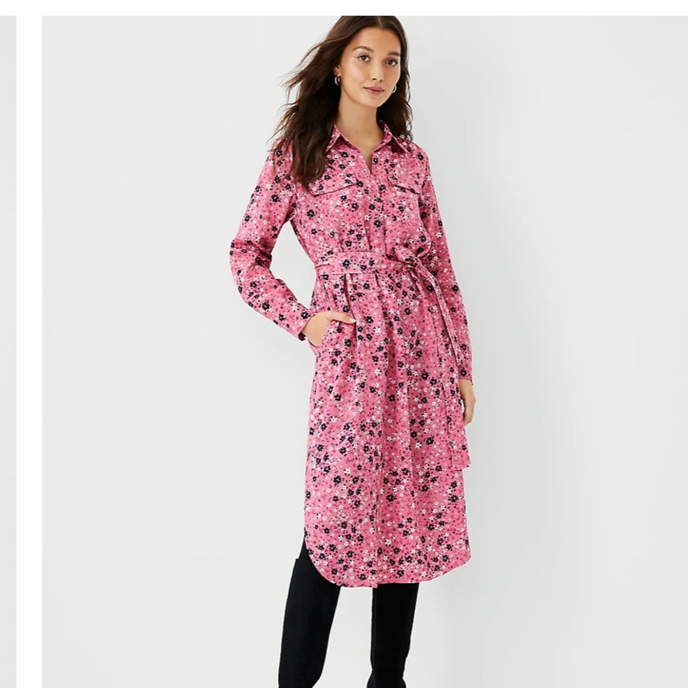 NWT - Belted shirtdress